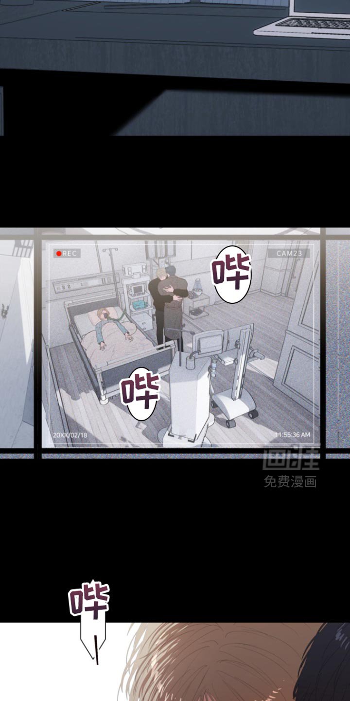 第29章：很像你