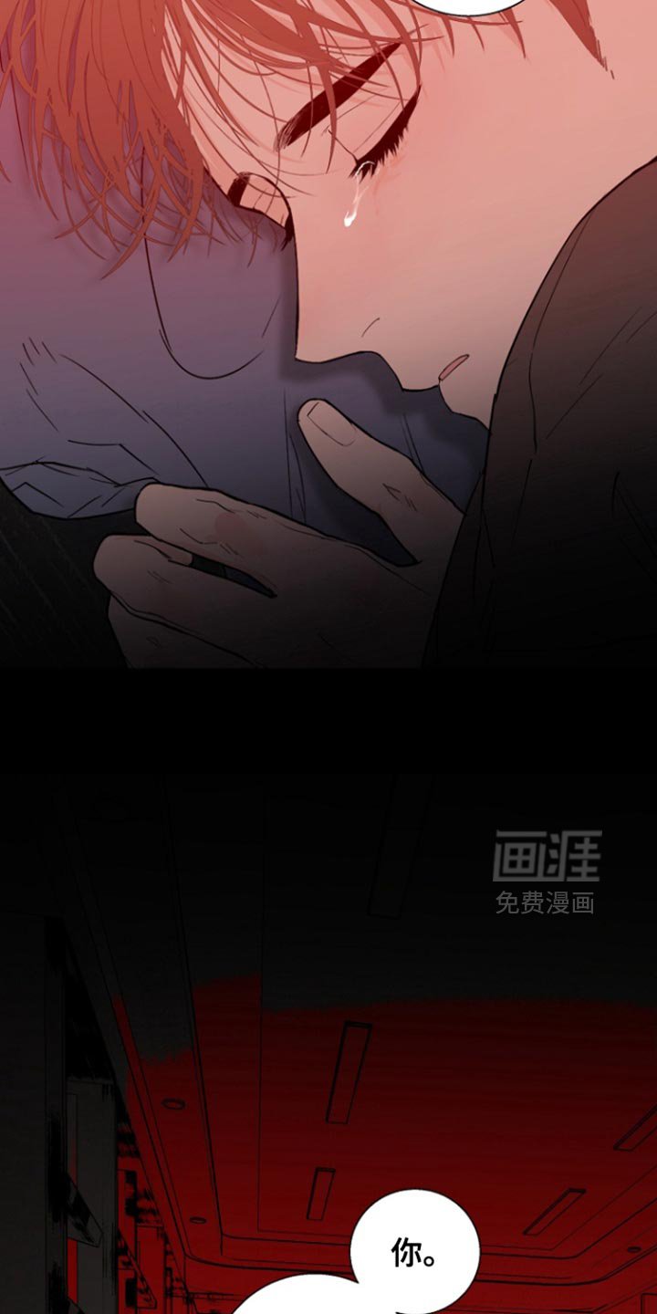 第33章：不是亲生儿子
