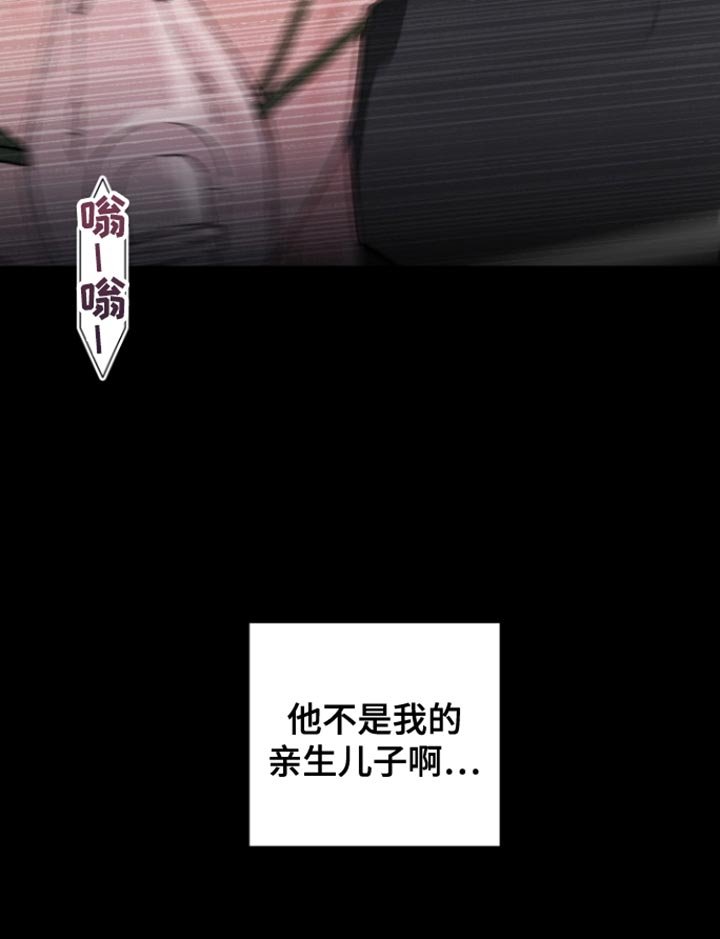 第33章：不是亲生儿子