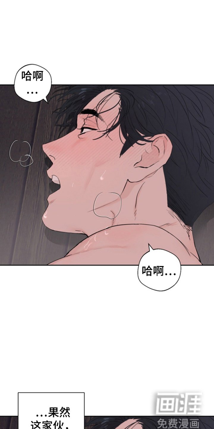 第39章：【番外】舆论危机