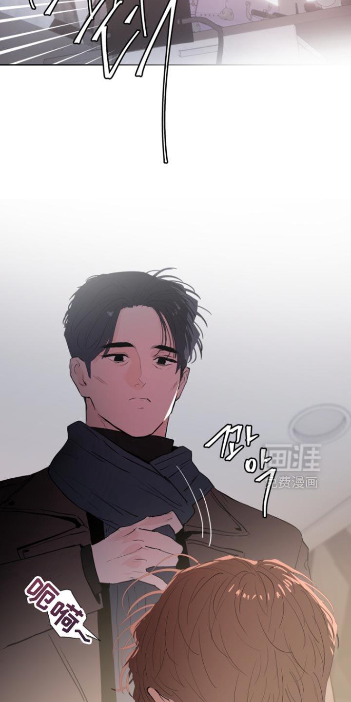 第44章：【番外】整理我们的关系