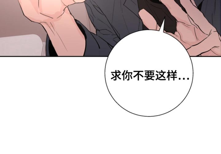 第44章：【番外】整理我们的关系