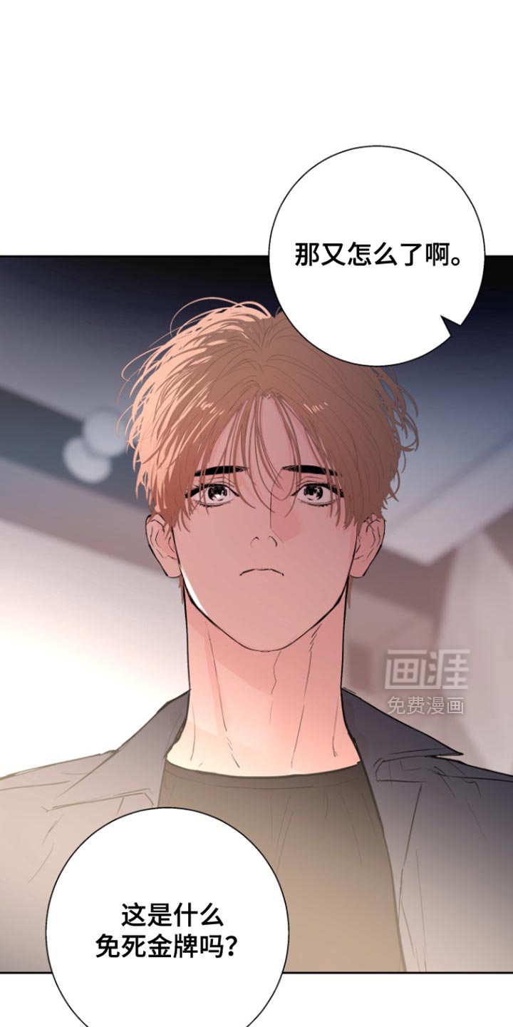 第44章：【番外】整理我们的关系