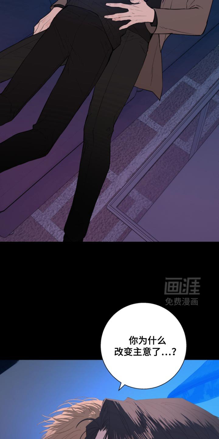 第49章：【番外】正适合重新开始