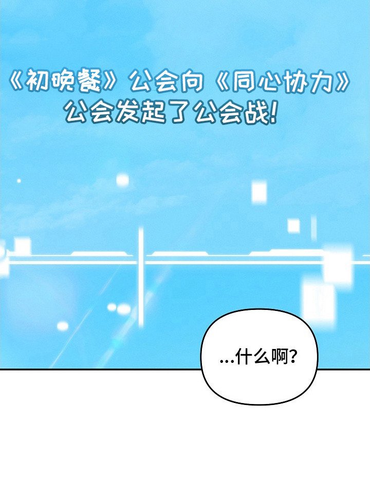 第14章：公会战