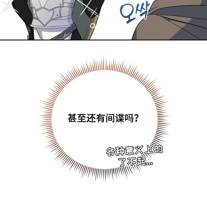 第31章：间谍