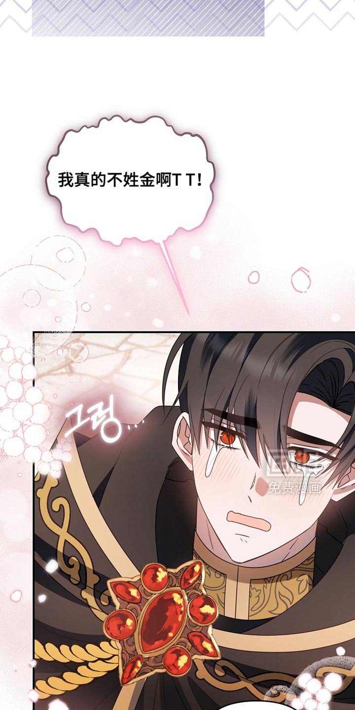 第45章：我也是辅助了