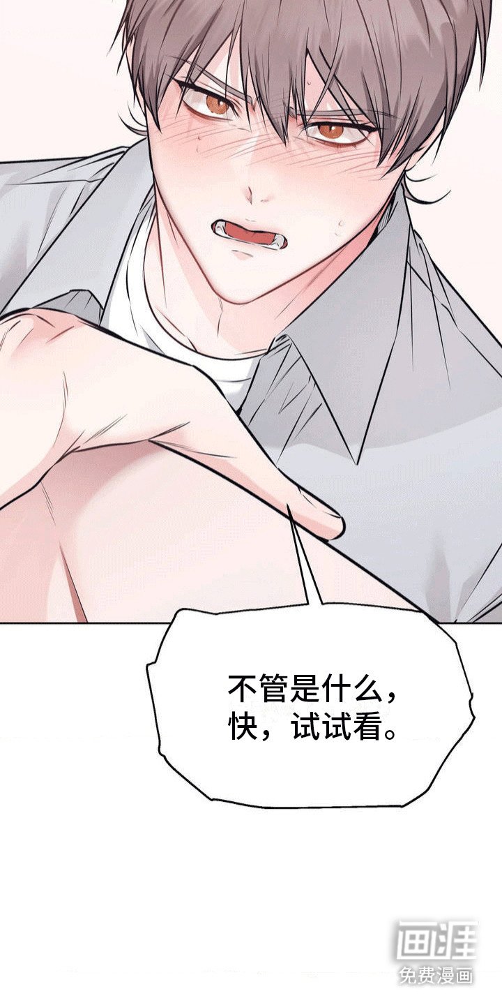 第4章：挑衅谁呢