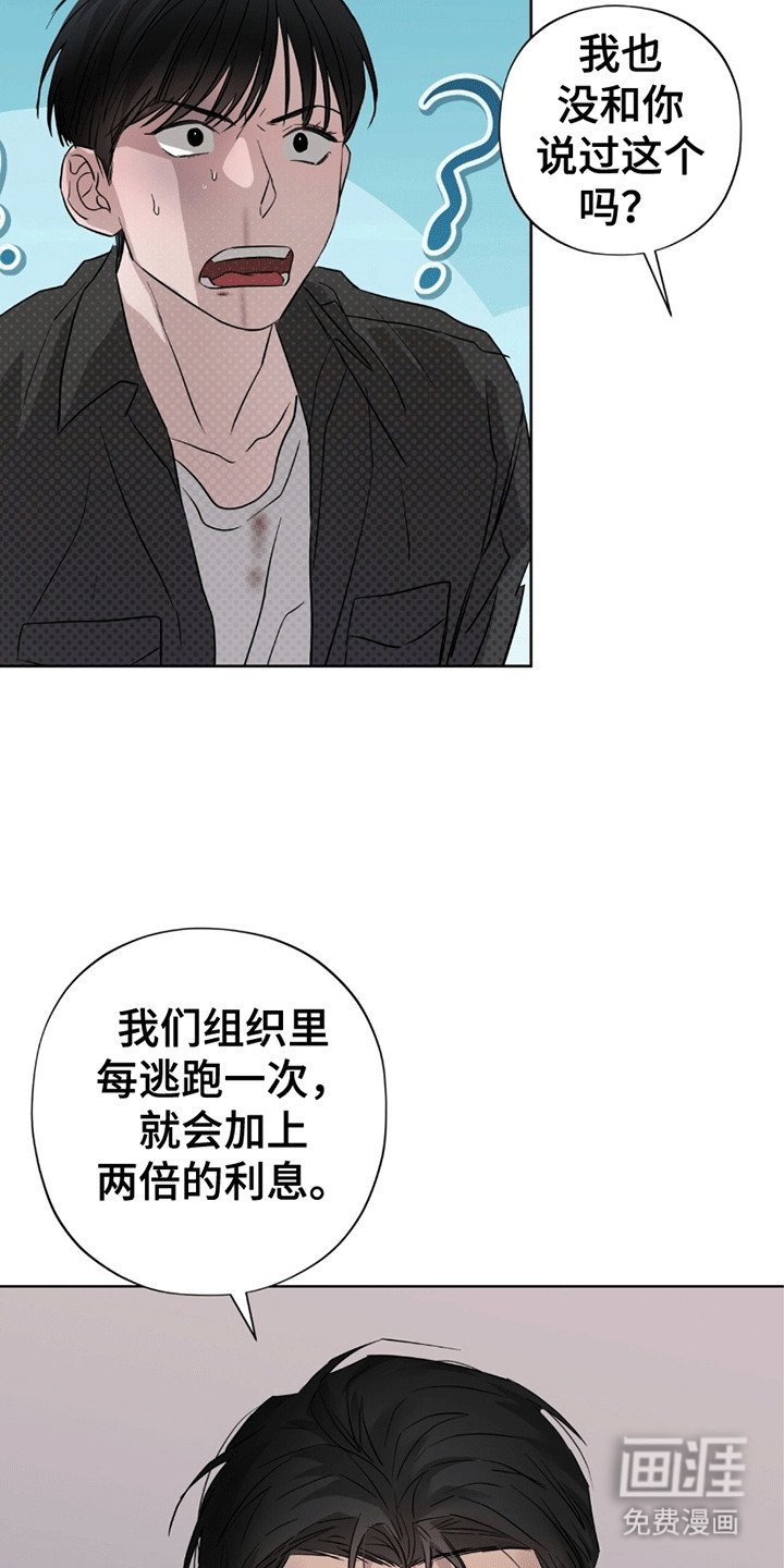 第17章：翻倍