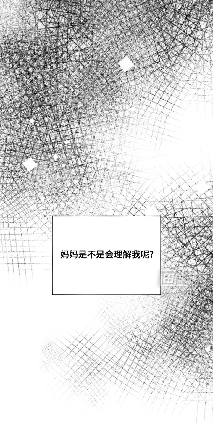 第21章：理解