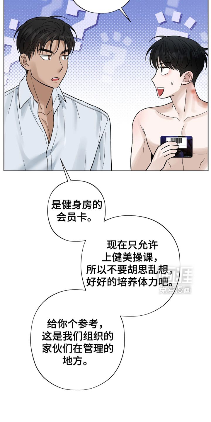 第29章：胡思乱想