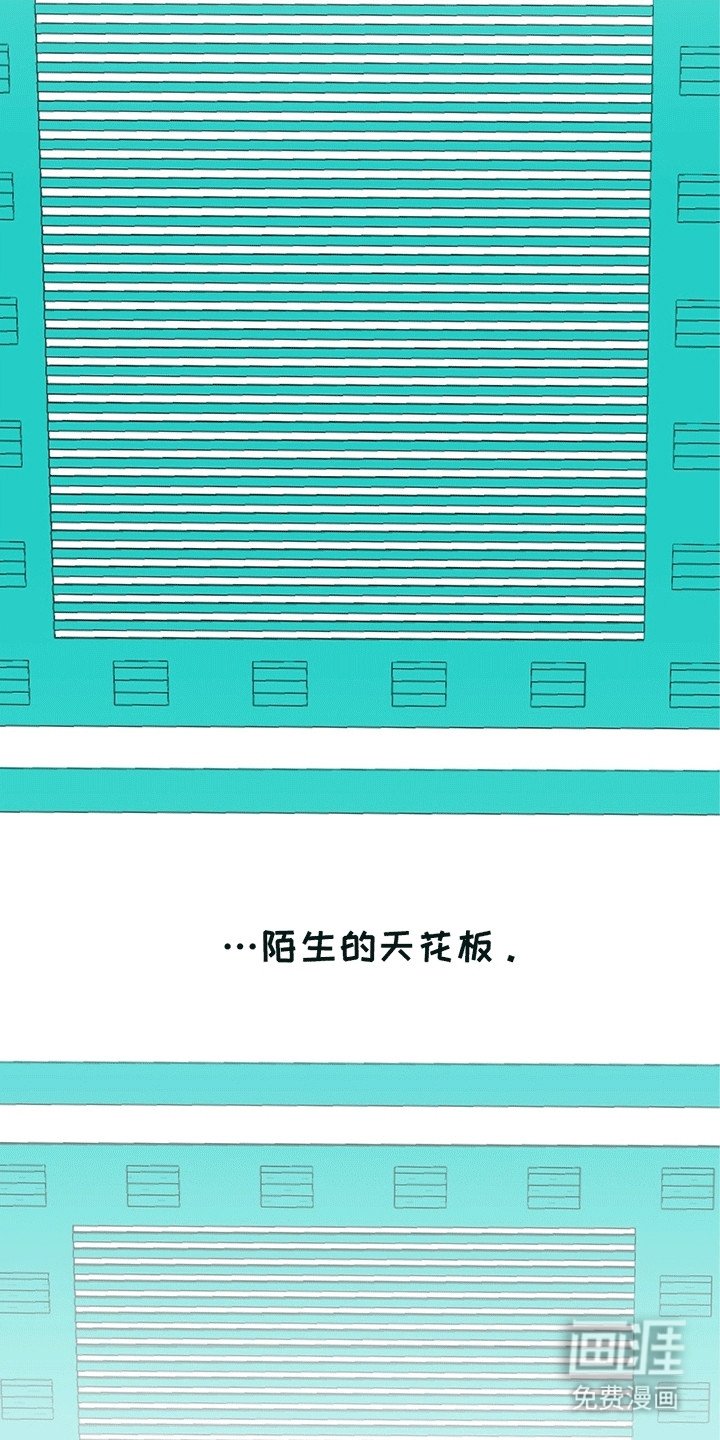 第4章：手术