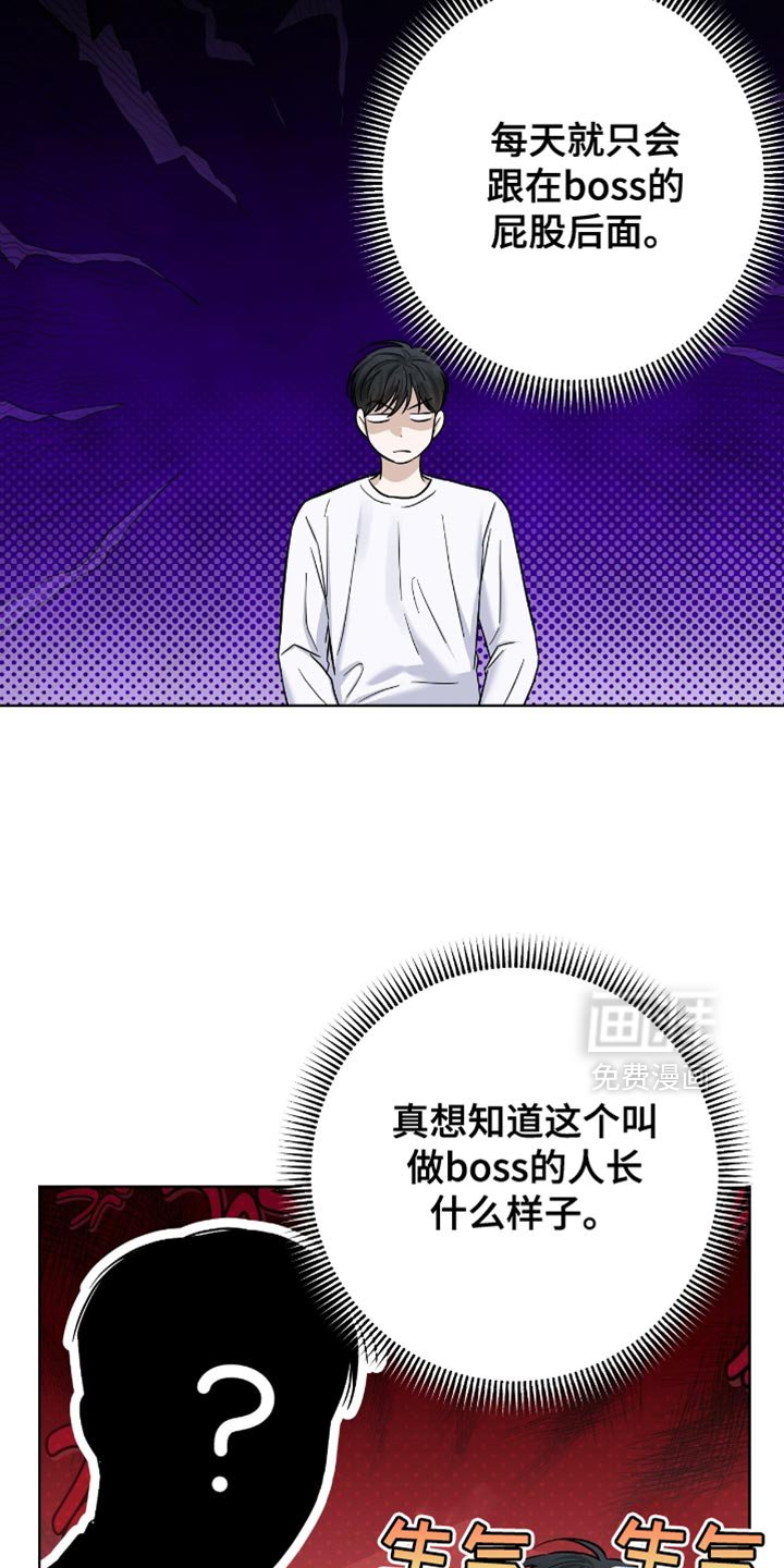 第48章：非常不错