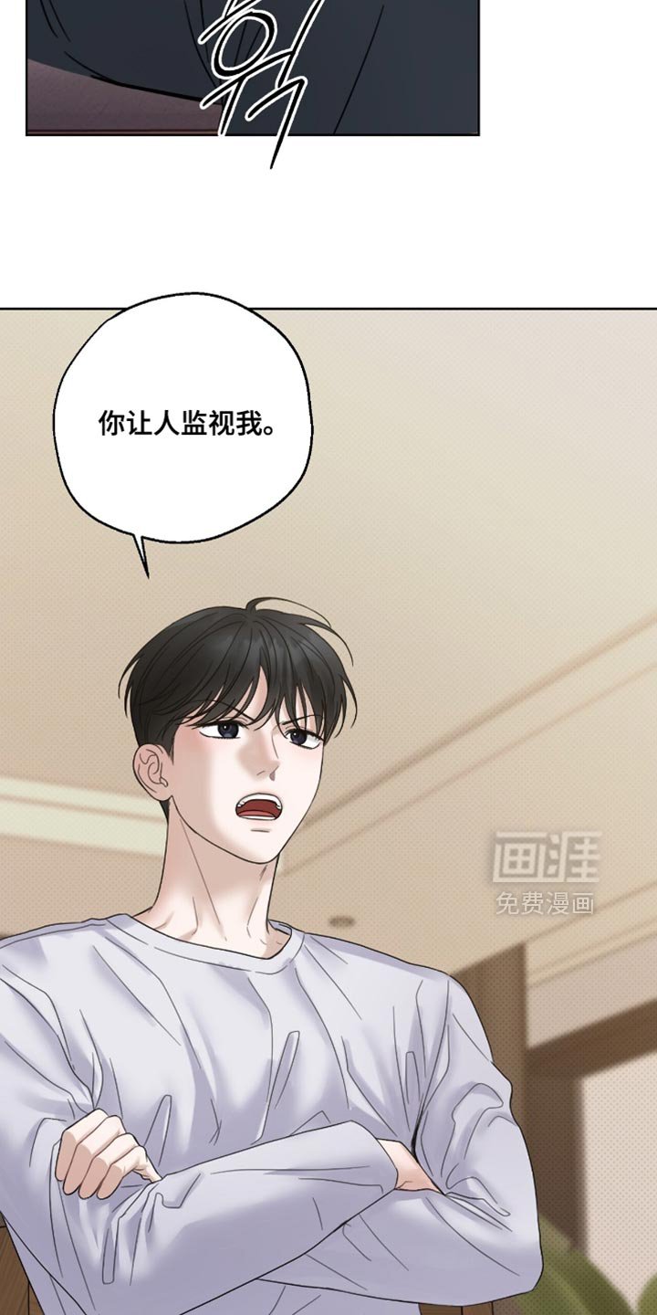 第65章：监视