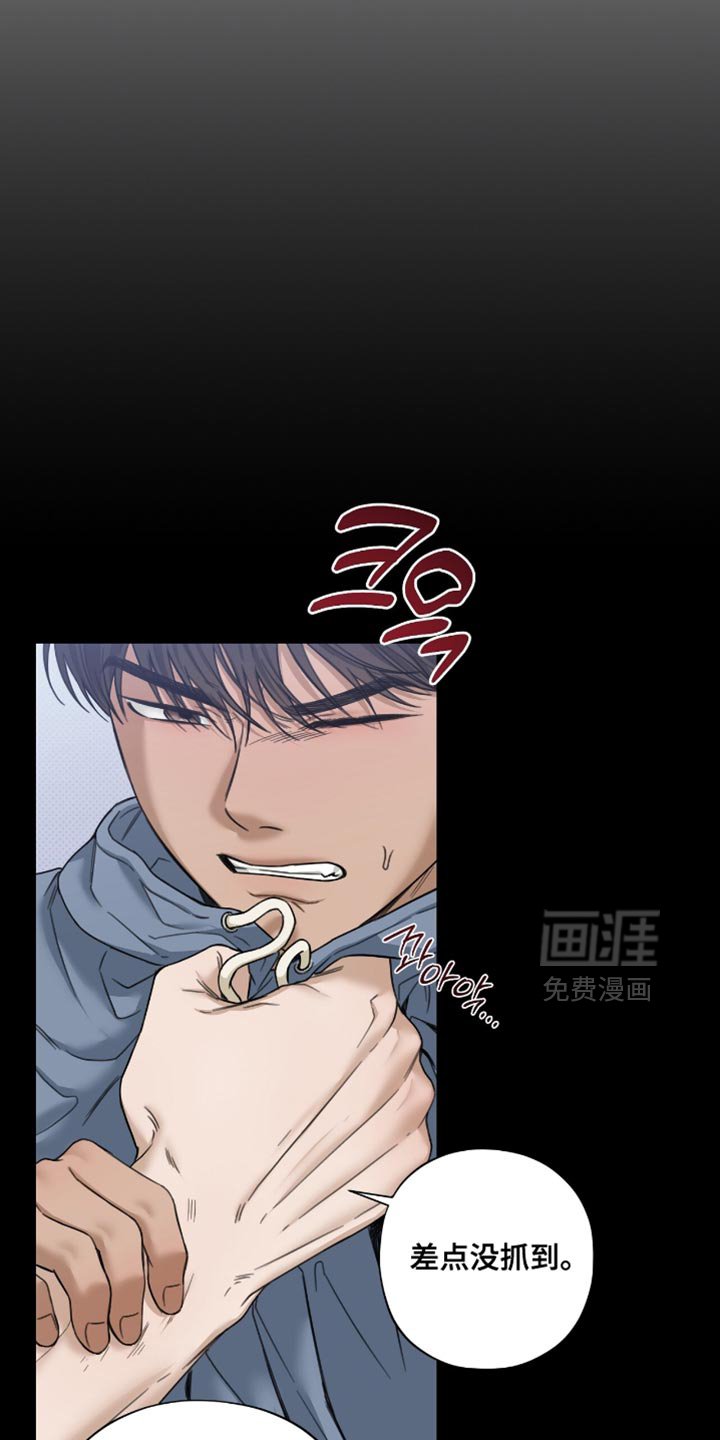 第67章：更珍贵的人