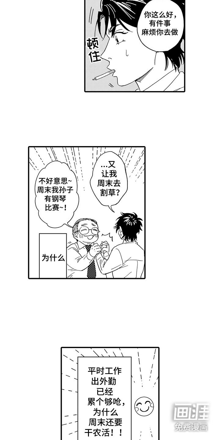 第2章：特殊癖好：五星好评