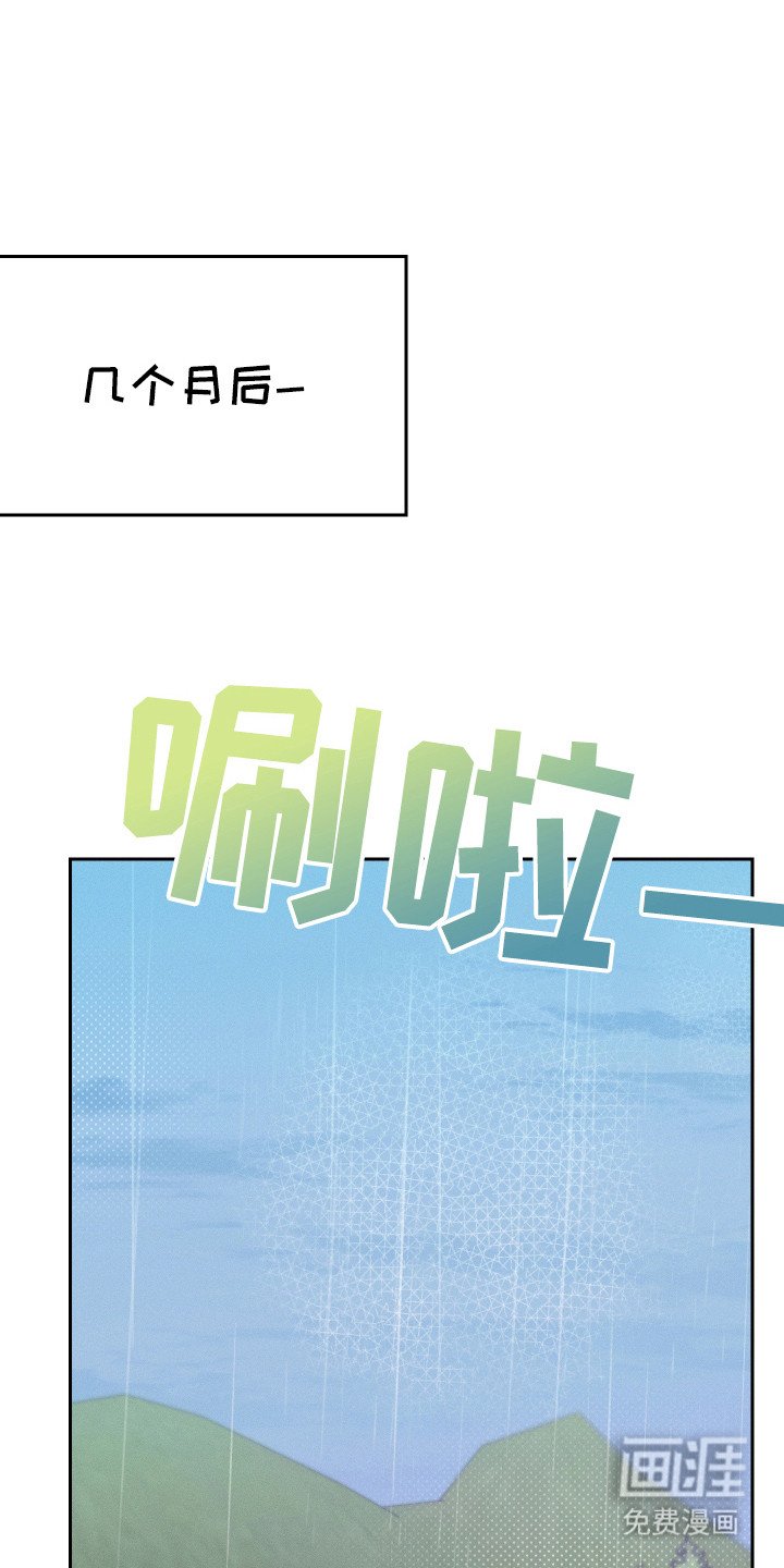 第12章：猫咪