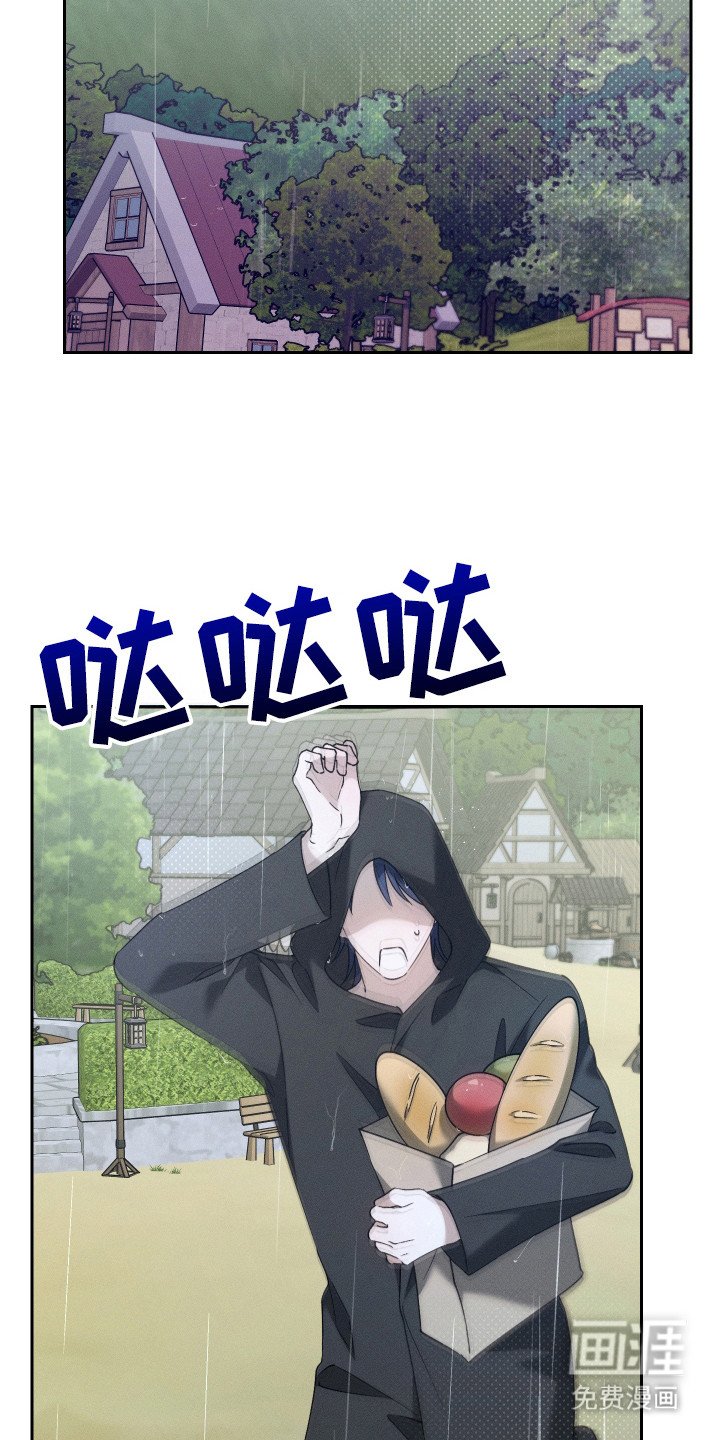 第12章：猫咪