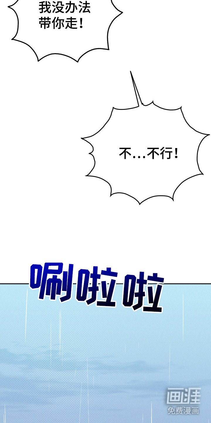 第12章：猫咪