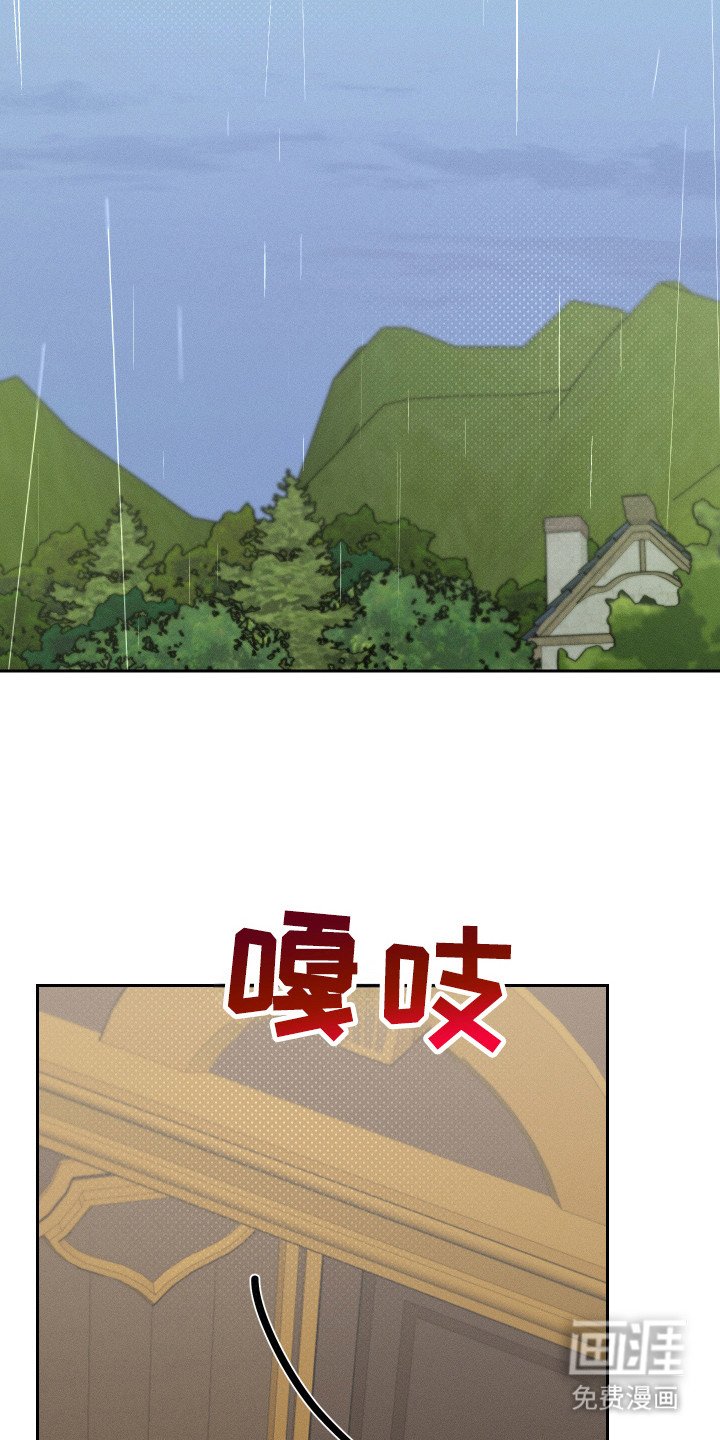第12章：猫咪