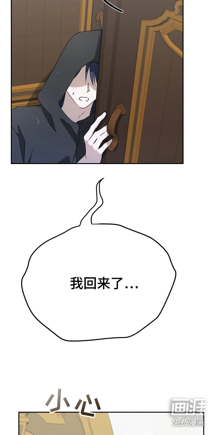 第12章：猫咪