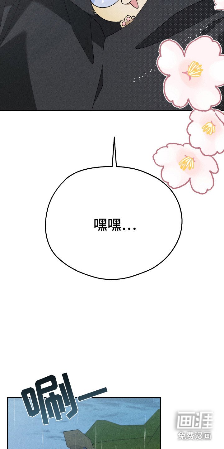 第12章：猫咪
