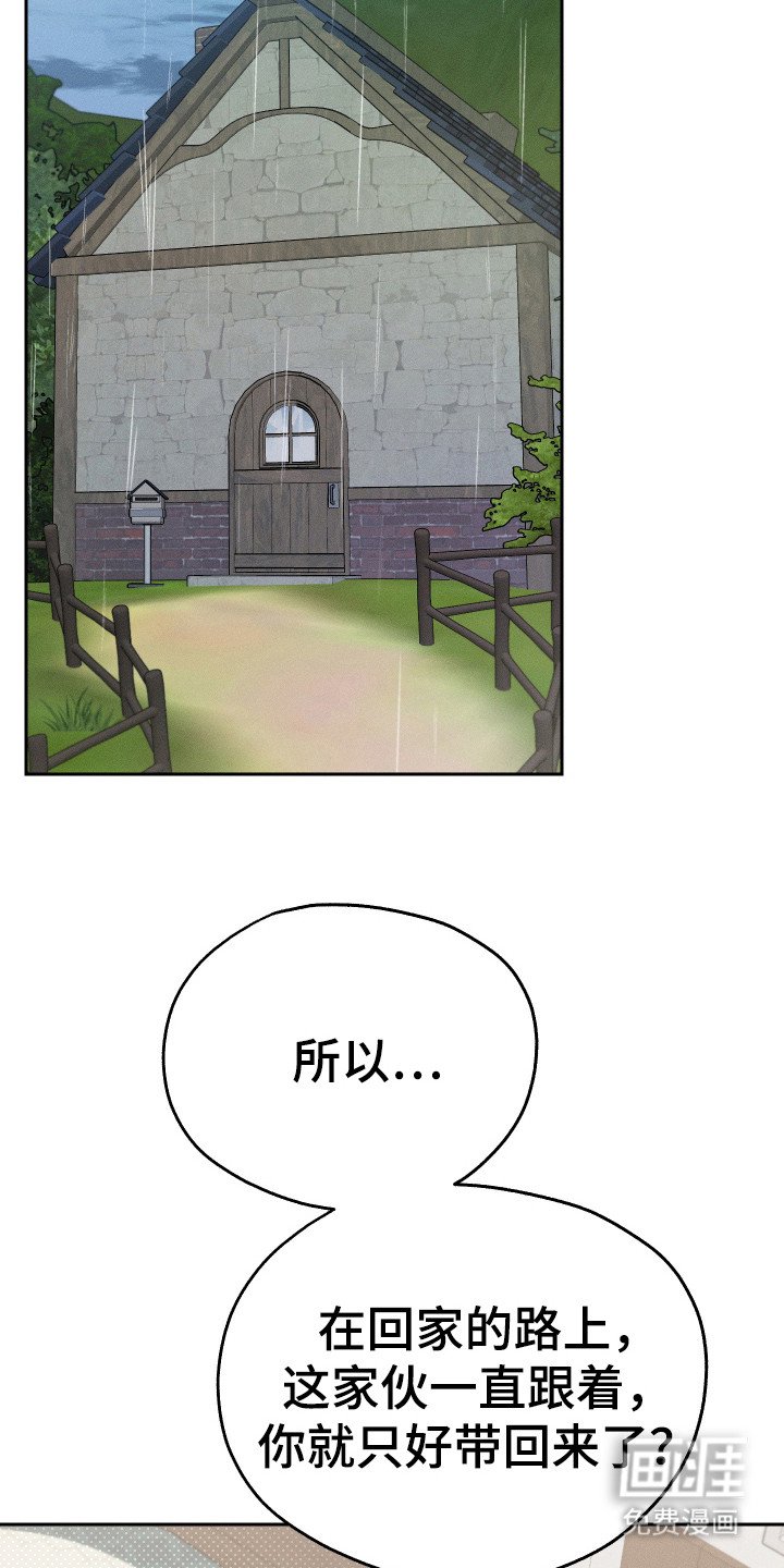 第12章：猫咪
