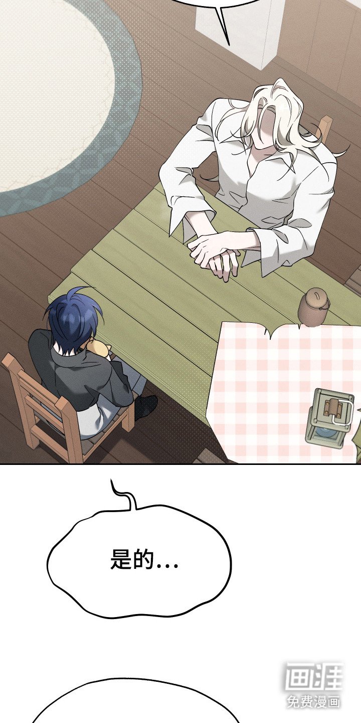 第12章：猫咪