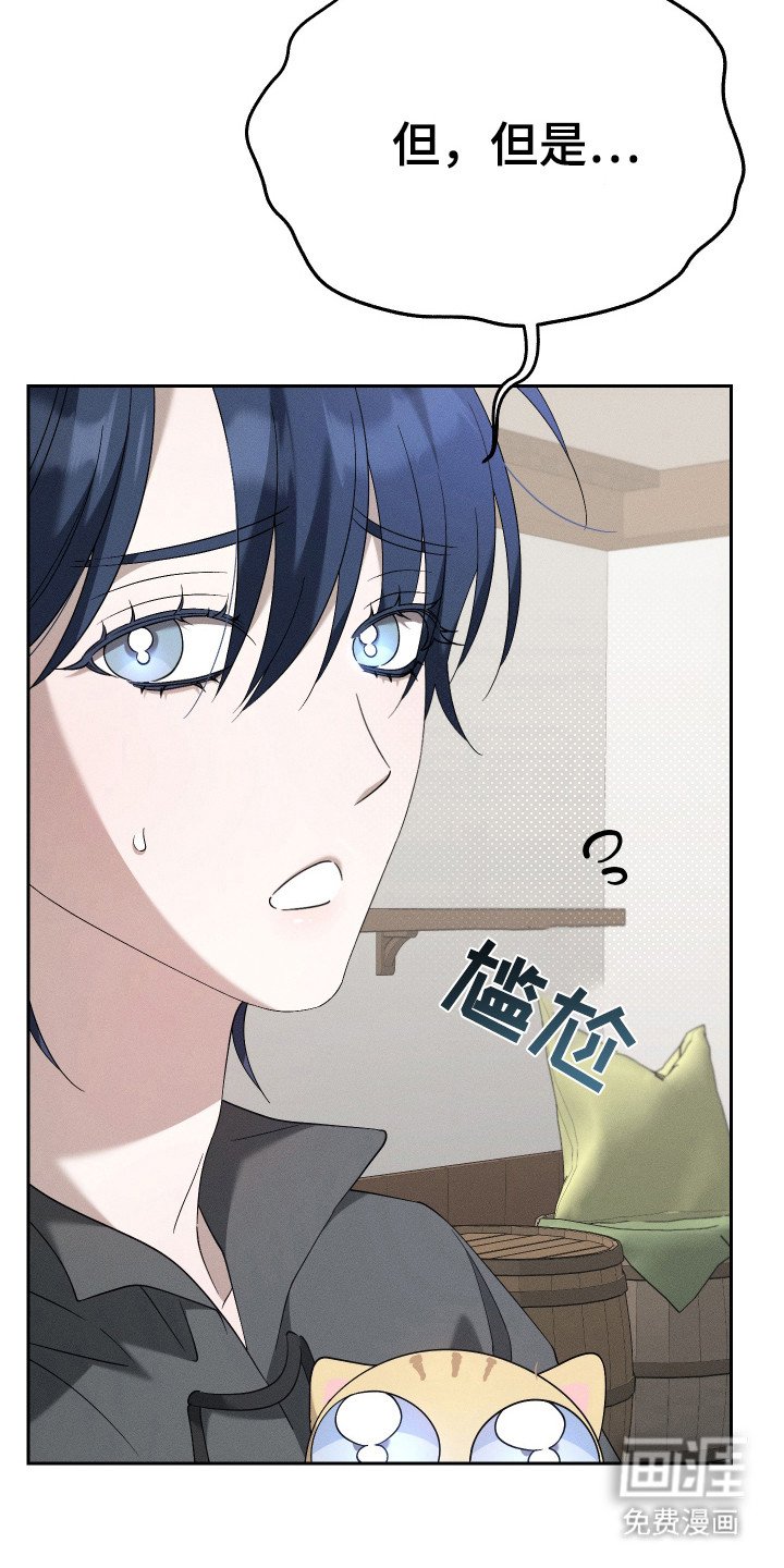 第12章：猫咪