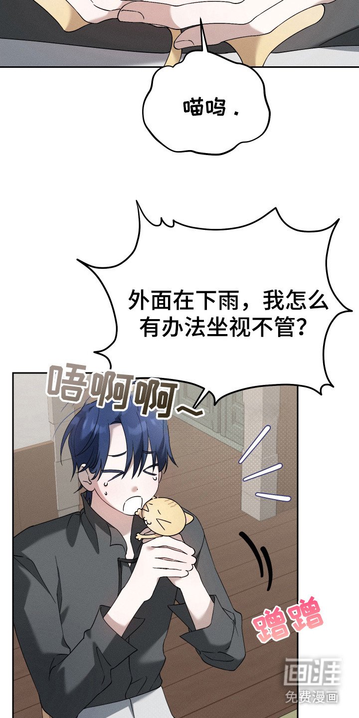 第12章：猫咪