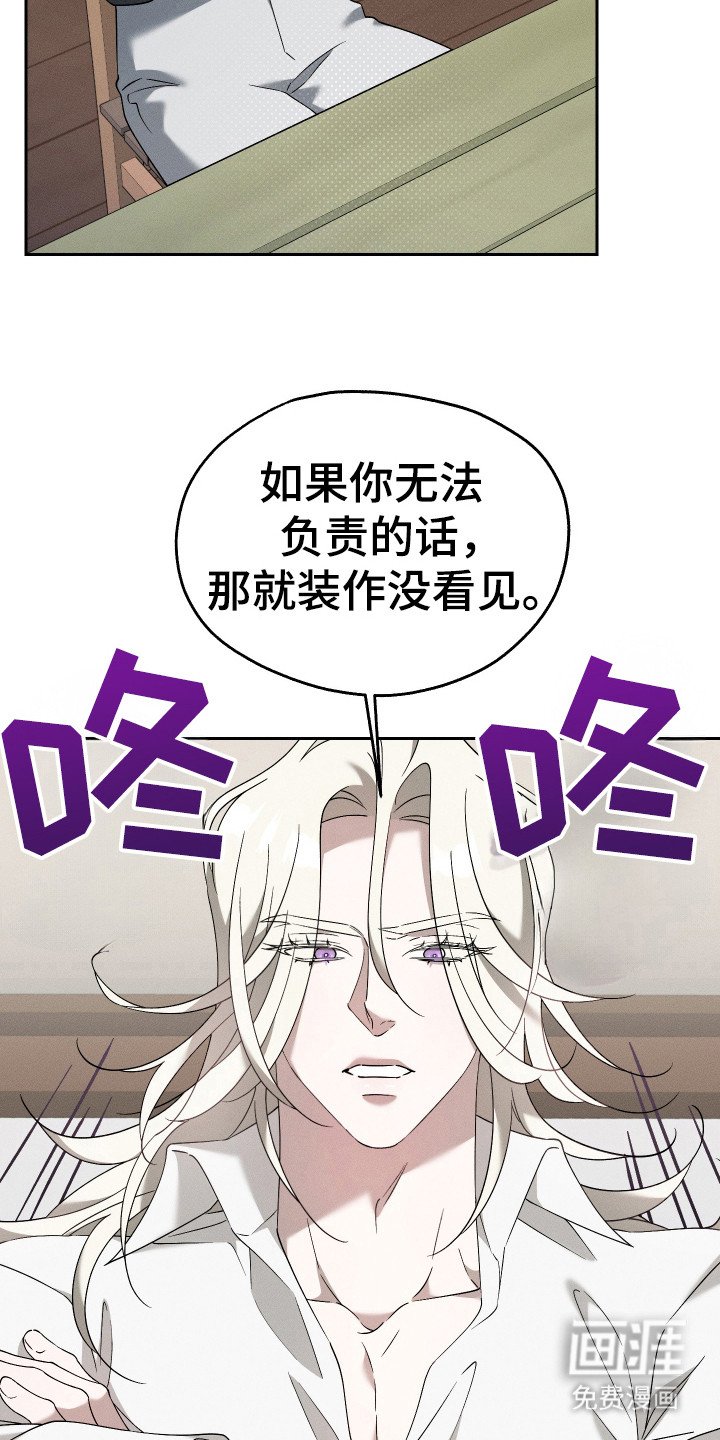 第12章：猫咪