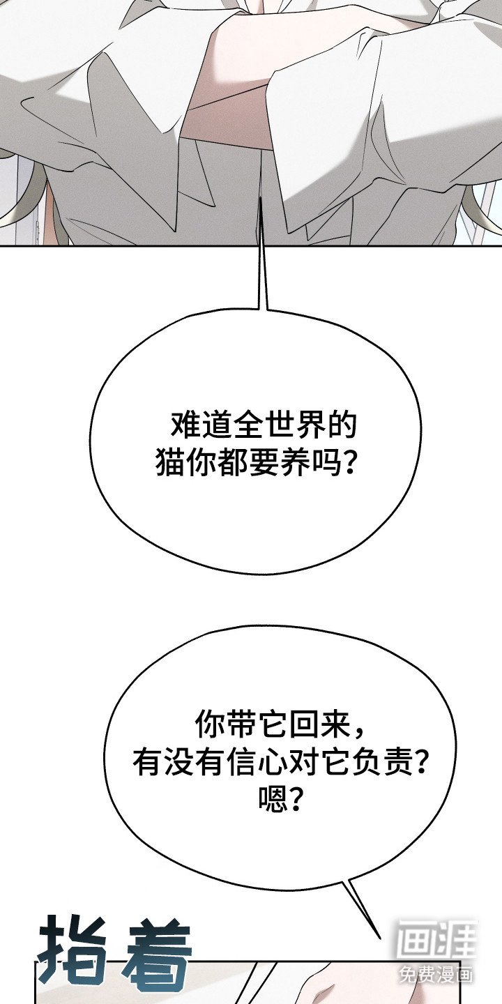 第12章：猫咪