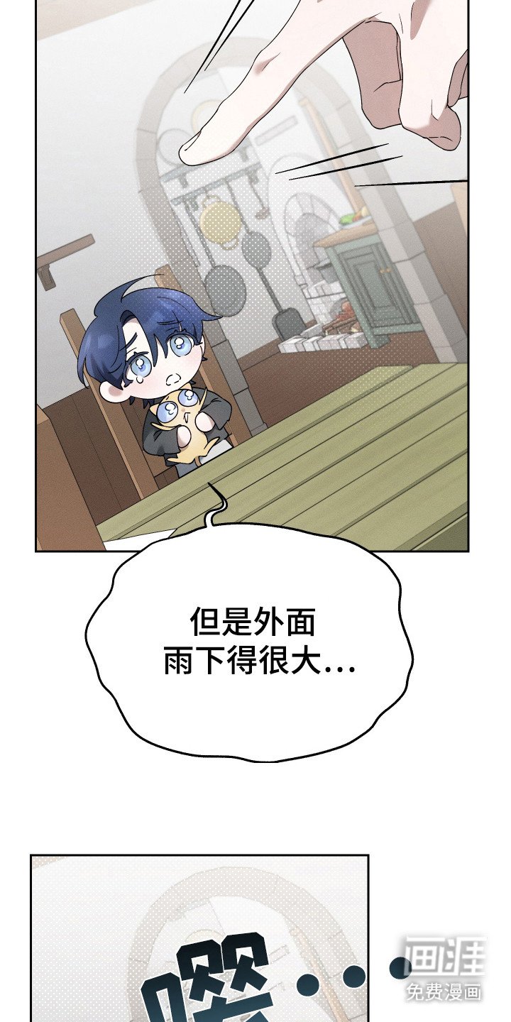 第12章：猫咪