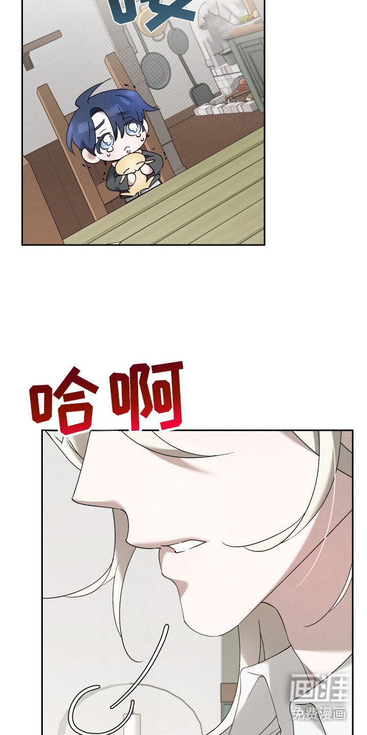 第12章：猫咪