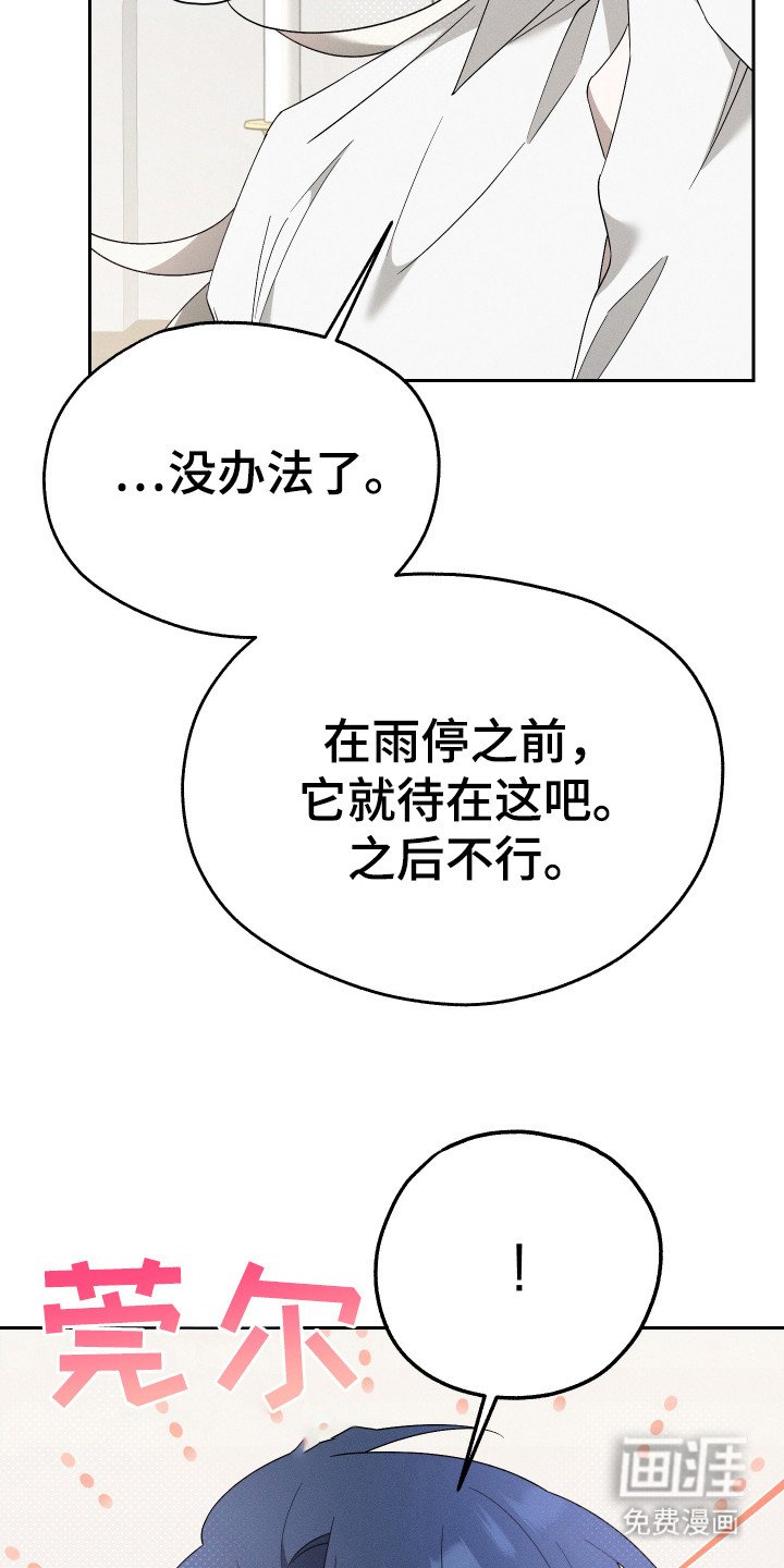 第12章：猫咪