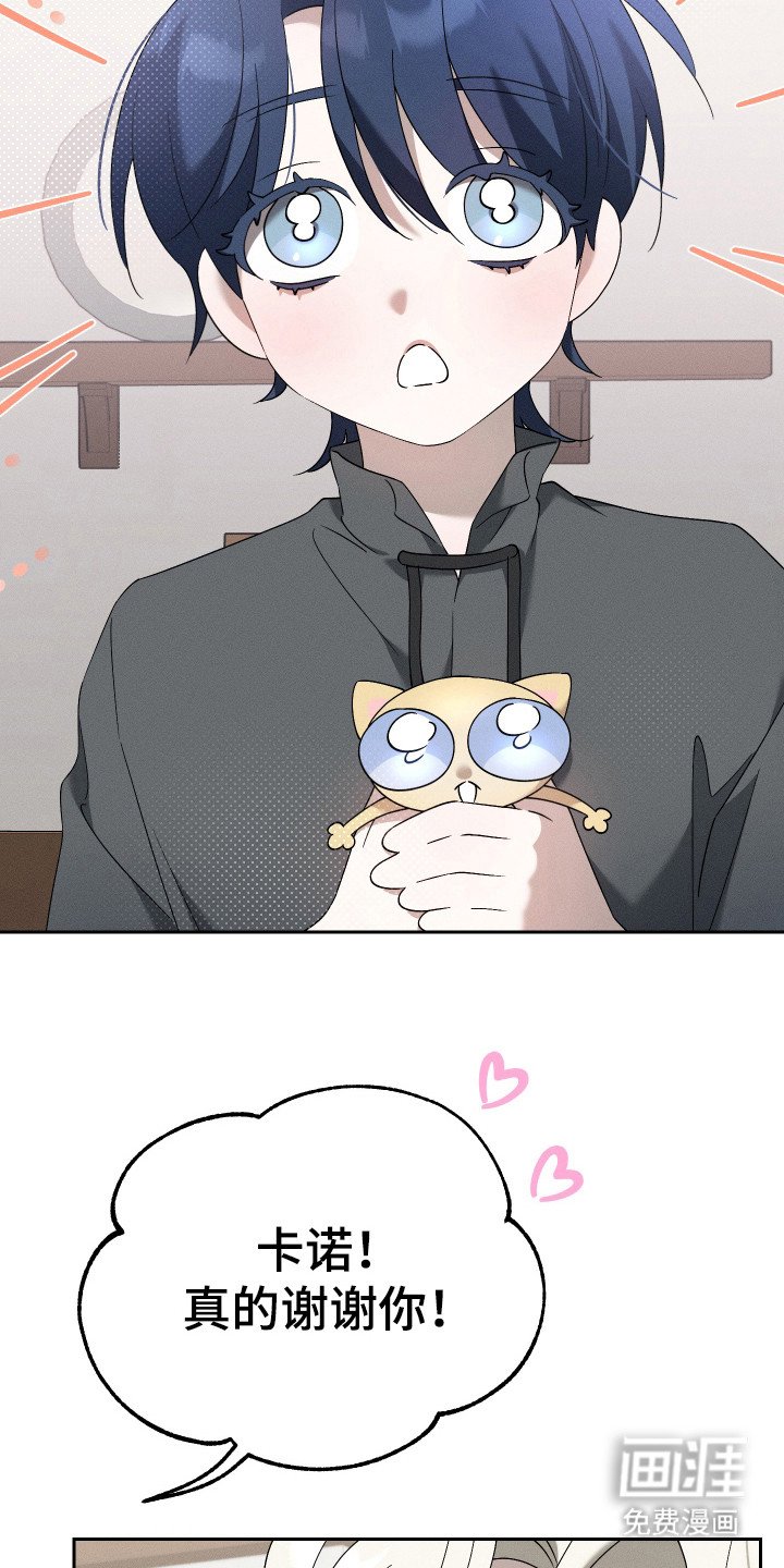 第12章：猫咪