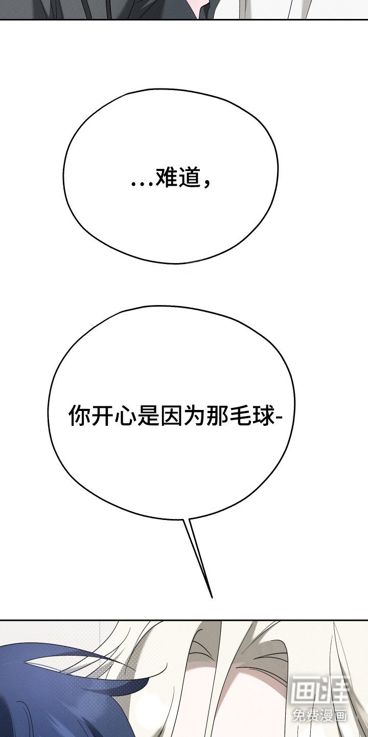 第13章：最好的选择