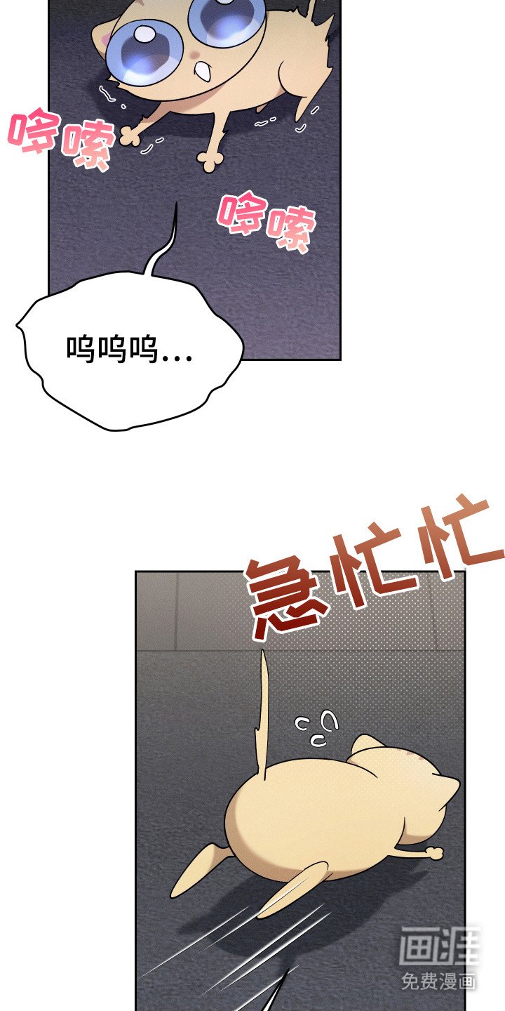 第15章：虚惊一场