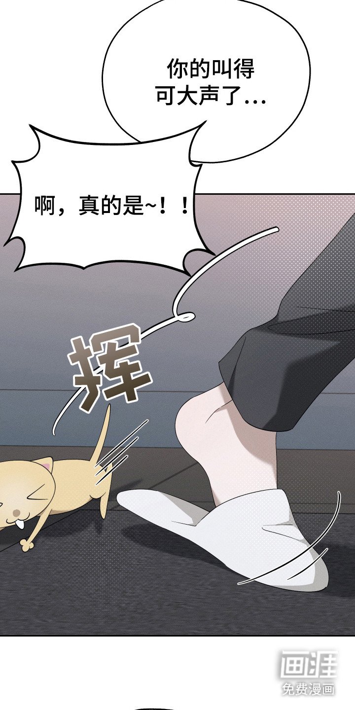 第16章：一起生活（完结）