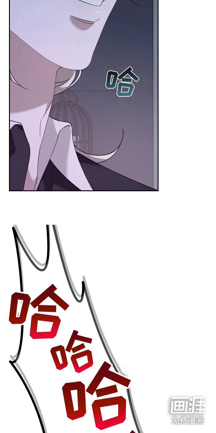 第7章：表明心意