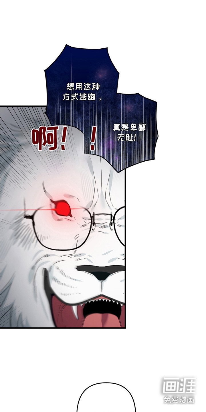 第11章：捕获