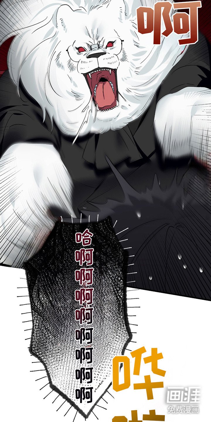 第11章：捕获