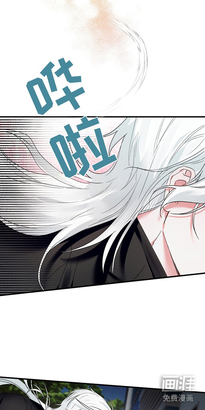 第11章：捕获