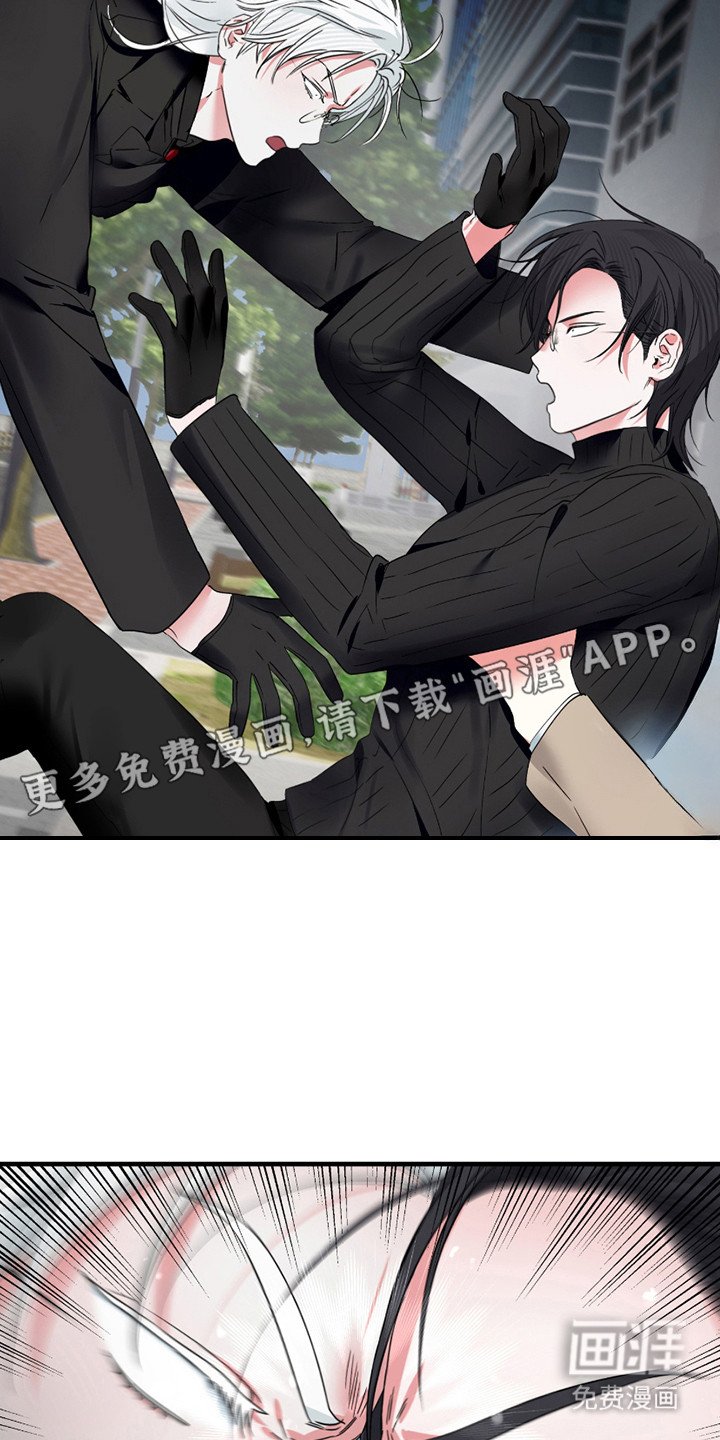 第11章：捕获