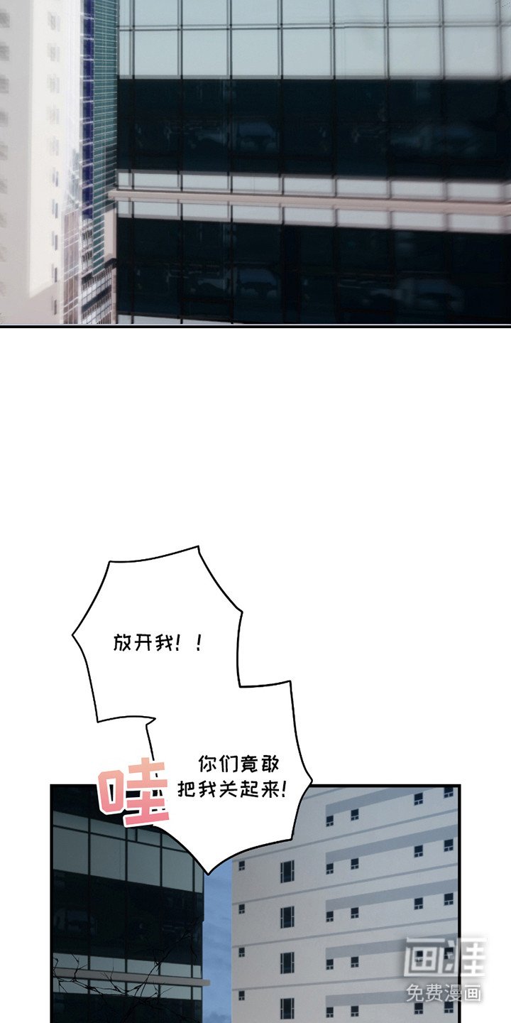 第11章：捕获