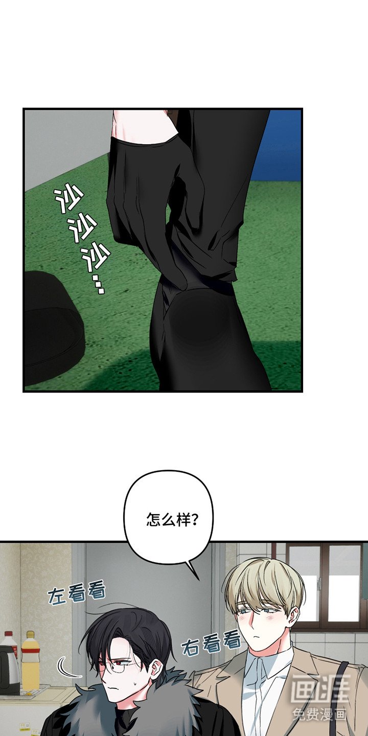 第13章：照片