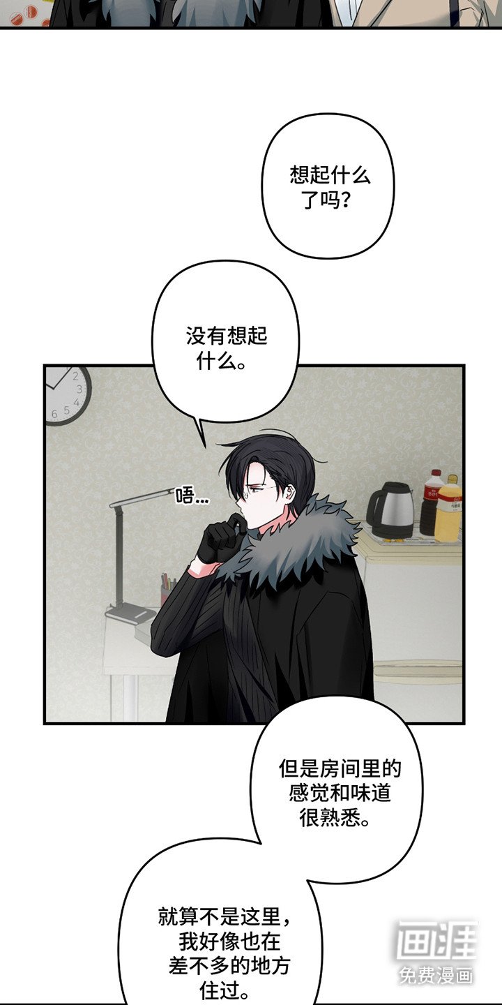 第13章：照片