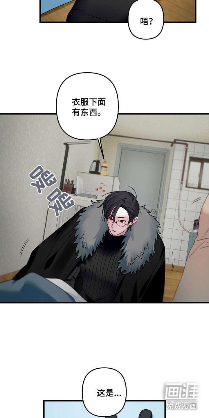 第13章：照片