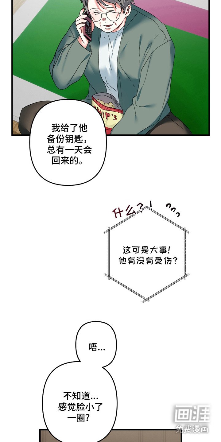 第13章：照片
