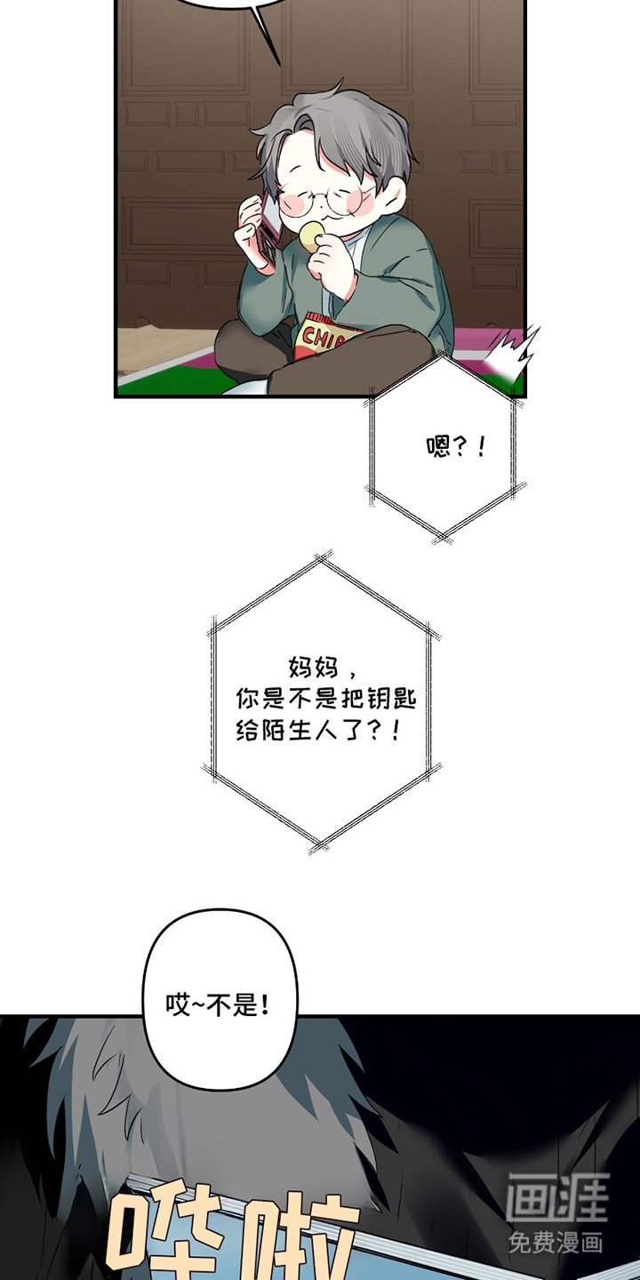 第13章：照片